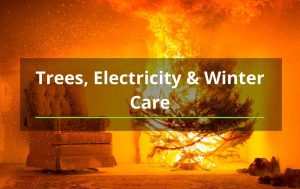 tree service winter care fire in house