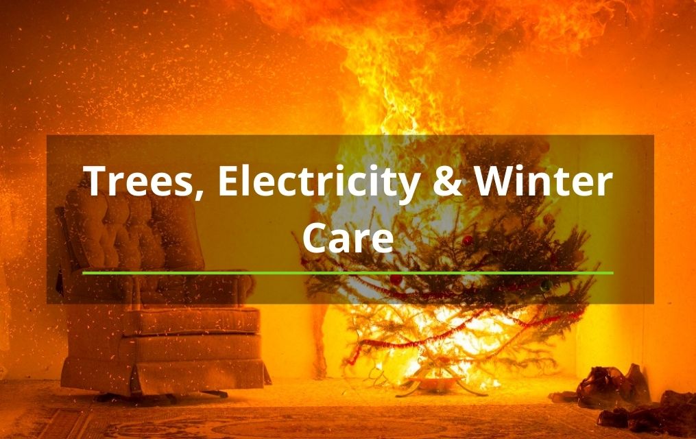 tree service winter care fire in house