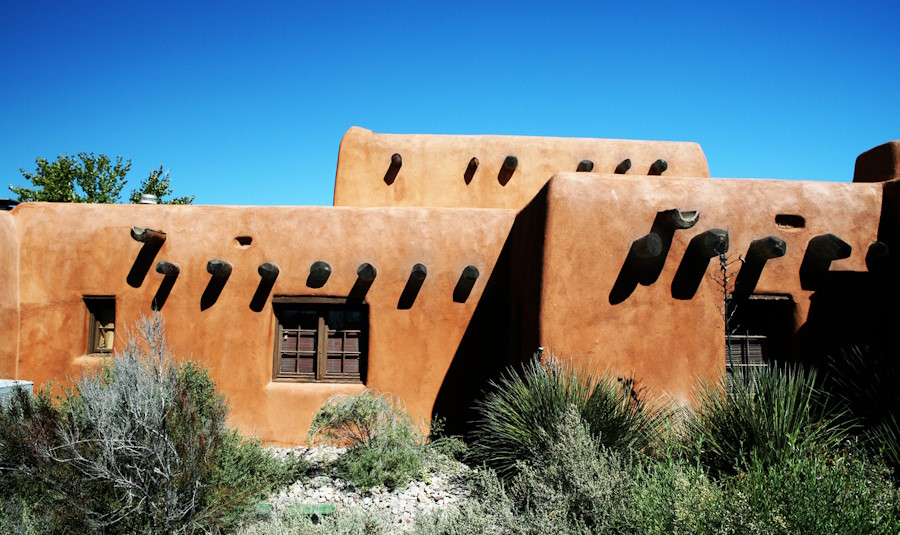 tree trimming in los ranchos nm near adobe house