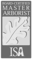 legacy-tree-ISA-Board-Certified-Master-Arborist
