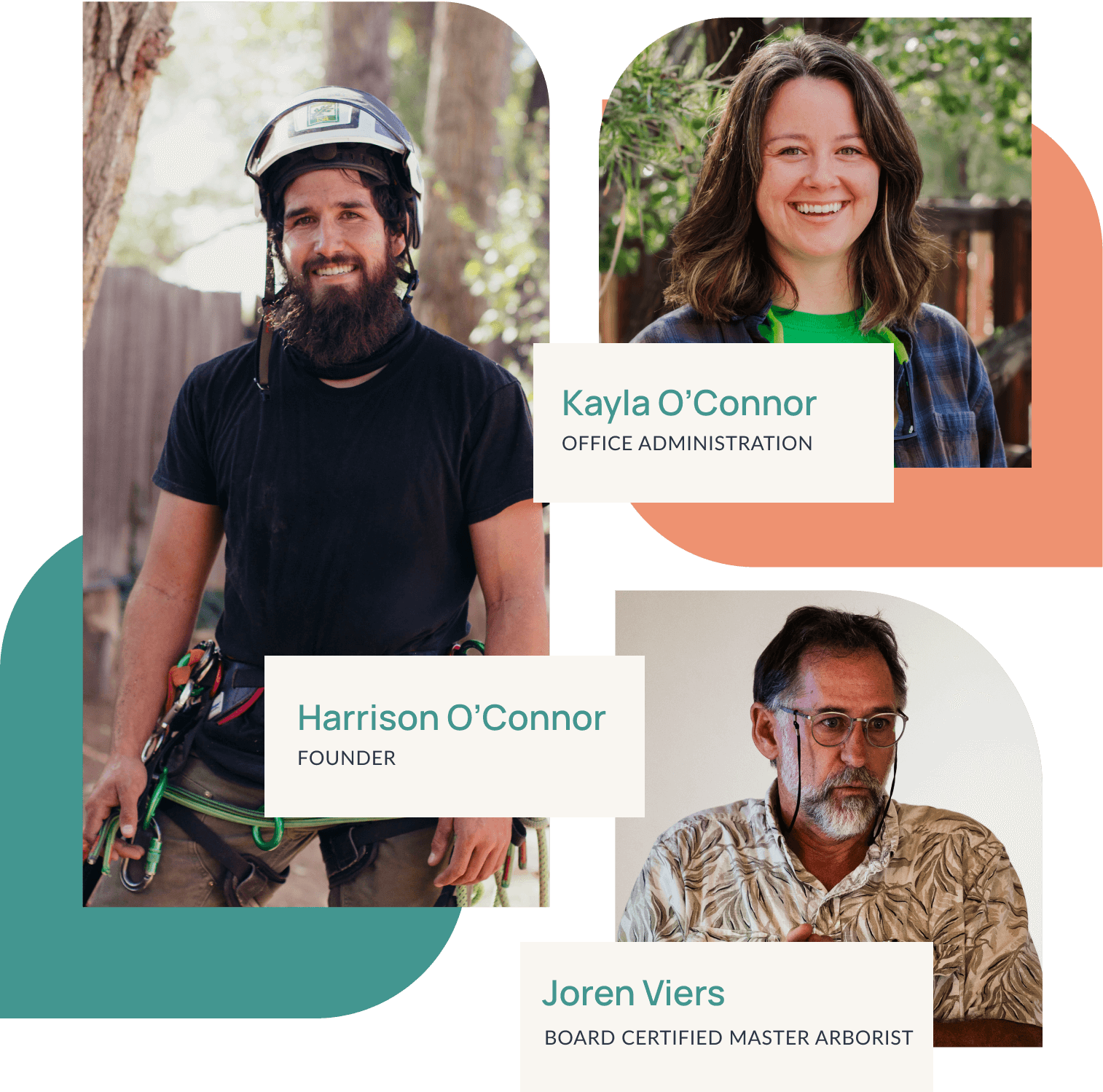 legacy tree about us history