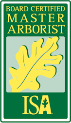 master arborist tree service new mexico