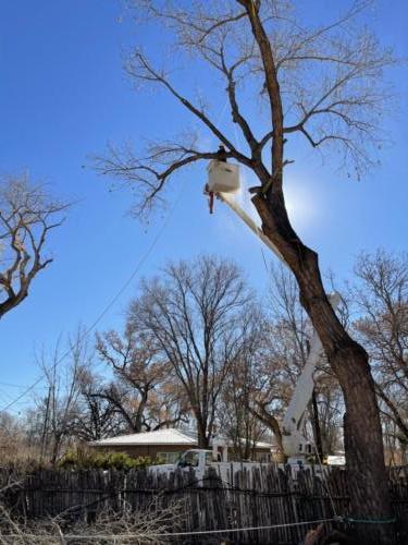 Photo_Dec_09,_11_53_21_AM