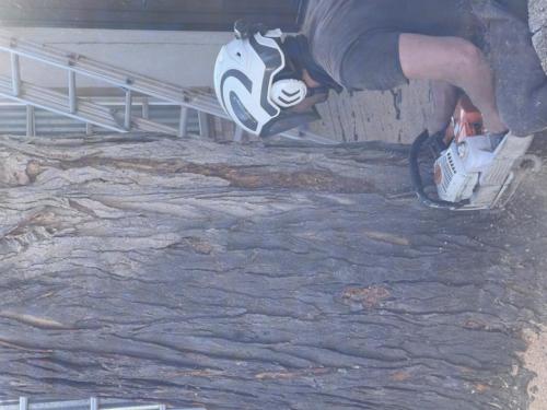 Photo_Dec_29,_3_46_27_PM